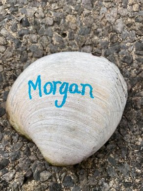 a shell with a name written on it